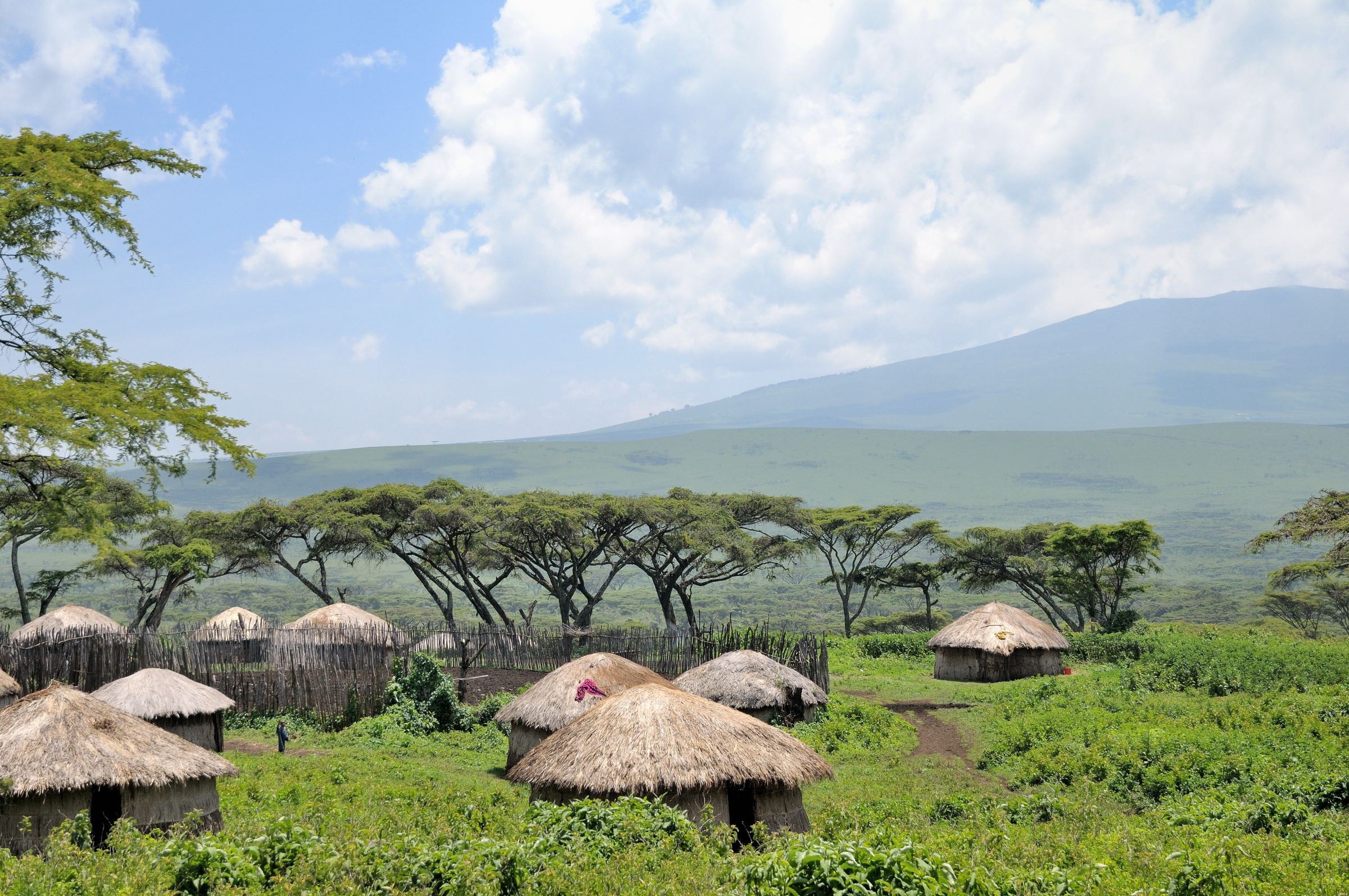 A real Maasai boma in the lush Ngorongoro highlands